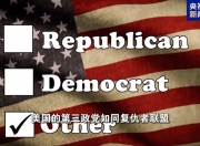 马斯克的“美国党”真开始运作了，他到底图啥？