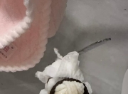 杭州余杭自来水现“粪水味”？余杭水务：嗅味指标超高致异味其他指标正常